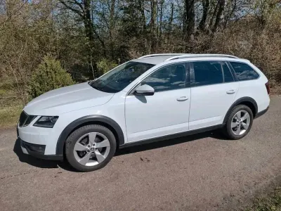 Gebraucht Skoda Octavia Scout 185 PS (136 kW) 2019 Weiß Kombi