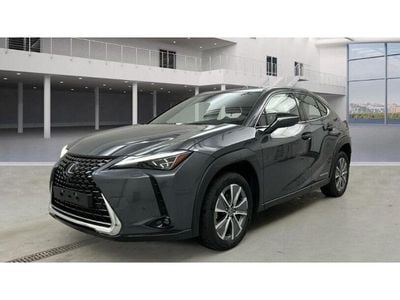 Gebraucht Lexus UX 300e Luxury Line 150 kW (204 PS) 2022 Grau SUV