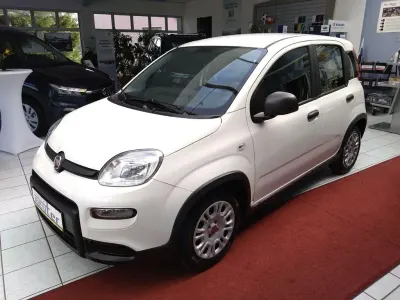Gebraucht Fiat Panda 71 PS (52 kW) 2024 Weiß Kleinwagen