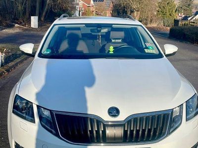 Weiß Gebraucht 2017 Skoda Octavia Drive Kombi | 14.400 € (Etwas zu teuer)