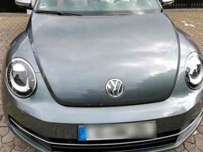 VW Beetle