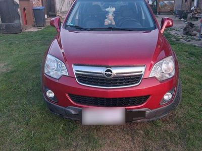 Gebraucht Opel Antara 167 PS (122 kW) 2015 Rot SUV