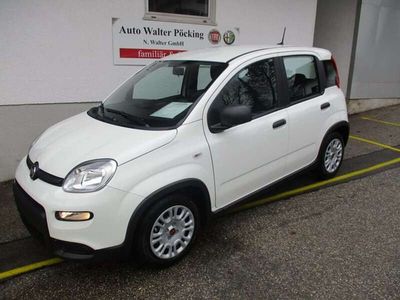 gebraucht Fiat Panda Base