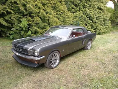 Gebraucht Ford V8 245 PS (180 kW) 1966 Schwarz