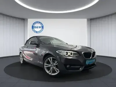 Gebraucht BMW 220 Performance 184 PS (135 kW) 2015 Grau Cabrio