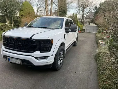 Gebraucht Ford F-150