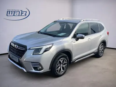 Gebraucht Subaru Forester