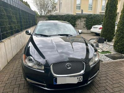 gebraucht Jaguar XF 3.0 V6 Premium Luxury (211PS) 3.0 Liter, Diesel Automa