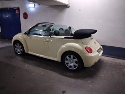 VW Beetle