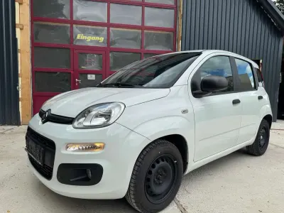 Gebraucht Fiat Panda Easy 69 PS (50 kW) 2017 Colore esterno (weiss) Kleinwagen
