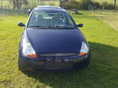Usata Ford Fiesta 69 CV (50 kW) 2002 Blu Utilitaria