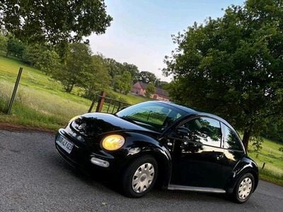 VW Beetle
