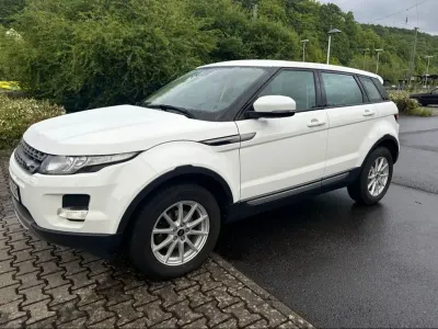 Gebraucht Land Rover Range Rover evoque Pure 150 PS (110 kW) 2013 Weiß SUV