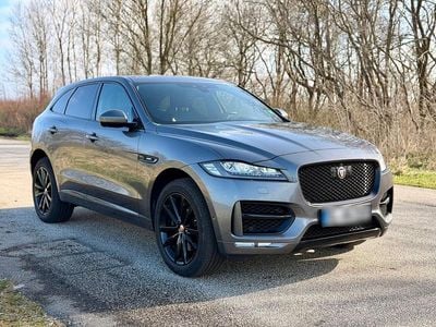 Gebraucht Jaguar F-Pace R-Sport 300 PS (220 kW) 2019 Grau SUV