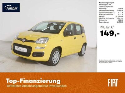 Usata Fiat Panda Icon 69 CV (50 kW) 2025 Giallo Berlina