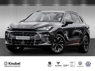 Grau Gebraucht 2025 Cupra Terramar SUV | 33.650 € (Guter Preis)