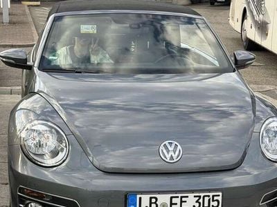 VW Beetle