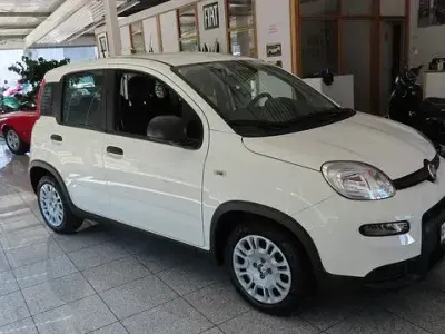 Gebraucht Fiat Panda 69 PS (50 kW) 2024 Weiß Kleinwagen