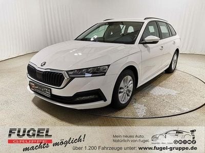 Gebraucht Skoda Octavia Active 110 PS (80 kW) 2022 Candyweiss Kombi