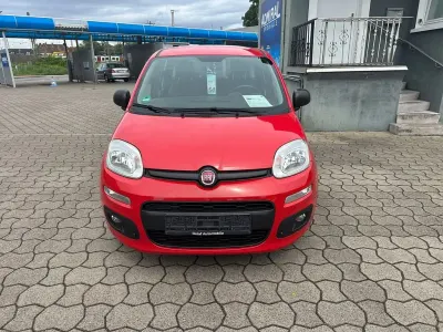 Gebraucht Fiat Panda Easy 69 PS (50 kW) 2016 Rot Kleinwagen