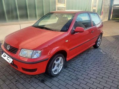 VW Polo