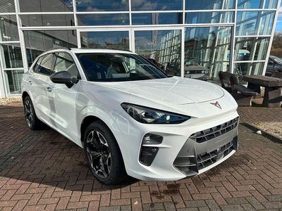 Neu Cupra Terramar 265 PS (194 kW) 2025 Weiß SUV