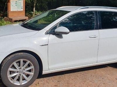 Weiß Gebraucht 2015 VW Golf VII LOUNGE Kombi | 7.980 € (Guter Preis)