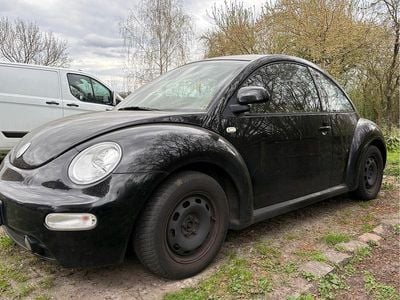VW Beetle
