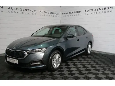 Gebraucht Skoda Octavia 150 PS (110 kW) 2020 Grau Limousine