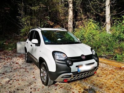 Second-hand Fiat Panda Cross Cross 86 CP (63 kW) 2021 Alb Hatchback
