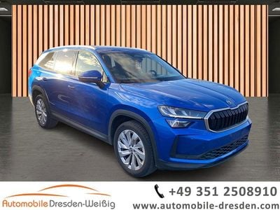 Gebraucht Skoda Kodiaq Selection 150 PS (110 kW) 2024 Raceblau SUV