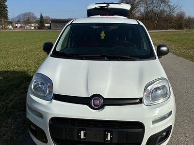 Gebraucht Fiat Panda Pop 69 PS (50 kW) 2017 Weiß Kleinwagen