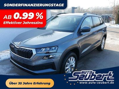 Graphite grau metallic Neu 2025 Skoda Karoq Selection SUV | 30.790 € (Guter Preis)
