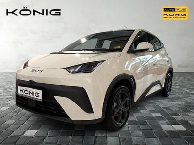 Weiß Gebraucht 2025 BYD Dolphin Surf Comfort Kleinwagen | 24.839 € (Fairer Preis)