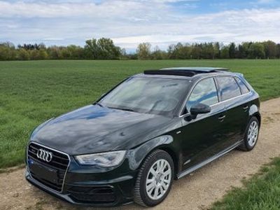 Grün Gebraucht 2014 Audi A3 S-Line Limousine | 16.698 € (Fairer Preis)