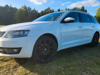 Usata Skoda Octavia Ambition 105 CV (77 kW) 2014 Bianco Station wagon