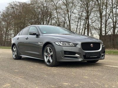 Gebraucht Jaguar XE R-Sport 241 PS (177 kW) 2017 Grau Limousine