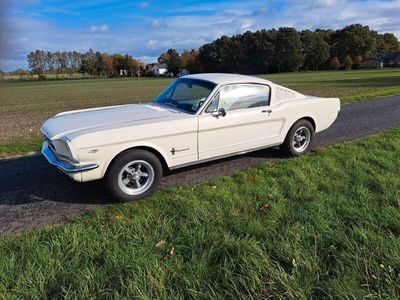 gebraucht Ford Mustang Fastback