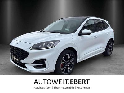 Gebraucht Ford Kuga ST-Line X 152 PS (111 kW) 2021 Frostweiß SUV