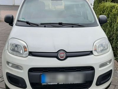 gebraucht Fiat Panda New