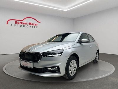 Gebraucht Skoda Fabia Selection 80 PS (58 kW) 2024 Grau Kleinwagen