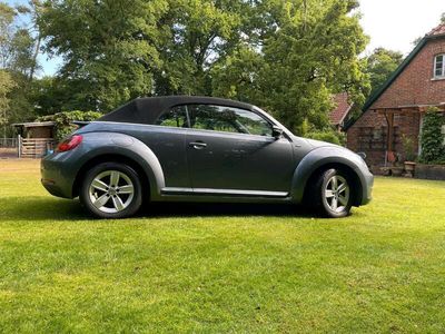 VW Beetle