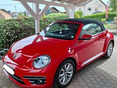 VW Beetle