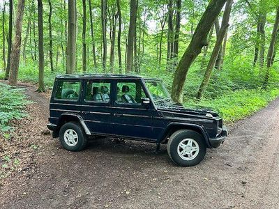 Mercedes G270
