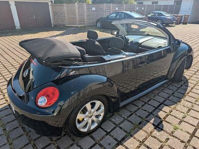 VW Beetle