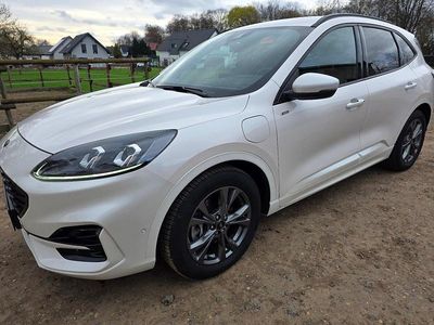 Gebraucht Ford Kuga ST-Line X 250 PS (183 kW) 2020 Weiß SUV