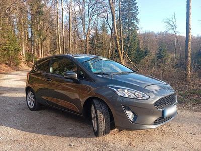Usata Ford Fiesta Trend 95 CV (69 kW) 2020 Grigio Utilitaria