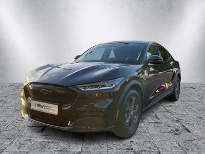 Gebraucht Ford Mustang Mach-E Standard Range 197 kW (269 PS) 2022 Dark matter/starlight gray (metallic) SUV