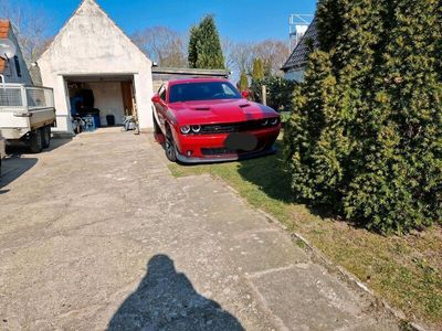 gebraucht Dodge Challenger 6,4l Scatpack Unfallfrei