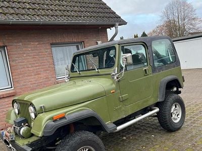 Gebraucht Jeep Wrangler 121 PS (88 kW) 1993 Grün SUV